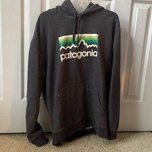 Mens Patagonia Hoodie